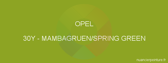 Peinture Opel 30Y Mambagruen/spring Green