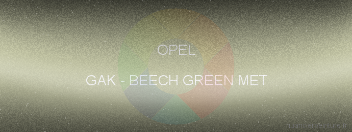 Peinture Opel GAK Beech Green Met