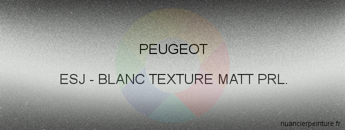 Peinture Peugeot ESJ Blanc Texture Matt Prl.