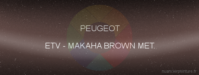 Peinture Peugeot ETV Makaha Brown Met.