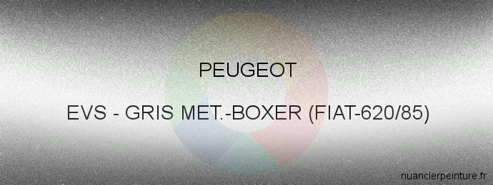 Peinture Peugeot EVS Gris Met.-boxer (fiat-620/85)