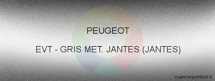 Peinture Peugeot EVT Gris Met. Jantes (jantes)