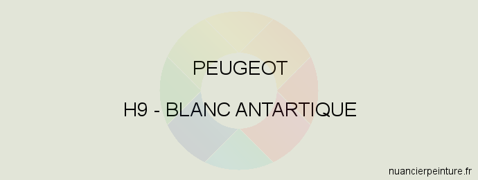 Peinture Peugeot H9 Blanc Antartique