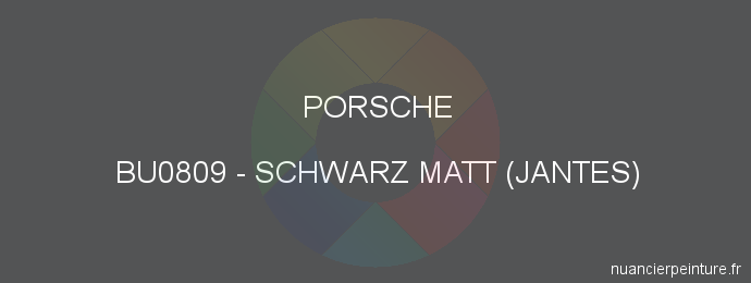 Peinture Porsche BU0809 Schwarz Matt (jantes)