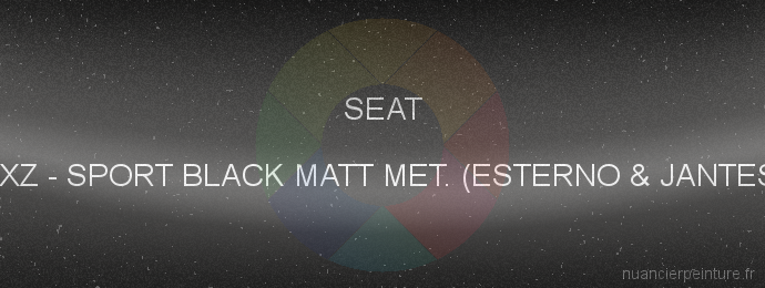 Peinture Seat 1XZ Sport Black Matt Met. (esterno & Jantes)