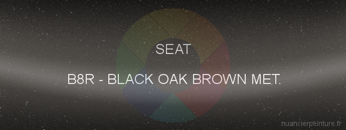 Peinture Seat B8R Black Oak Brown Met.