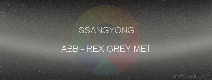 Peinture Ssangyong ABB Rex Grey Met