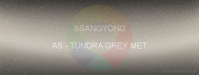Peinture Ssangyong AS Tundra Grey Met.