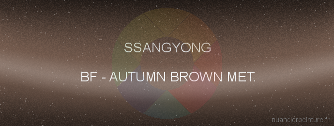 Peinture Ssangyong BF Autumn Brown Met.