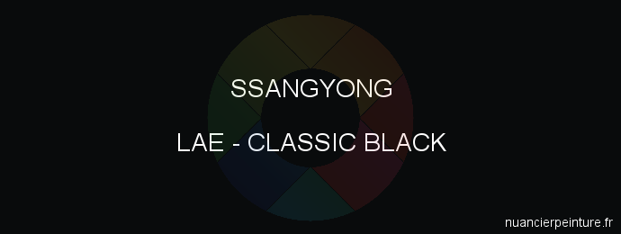 Peinture Ssangyong LAE Classic Black
