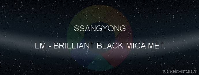 Peinture Ssangyong LM Brilliant Black Mica Met.