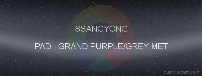 Peinture Ssangyong PAD Grand Purple/grey Met.