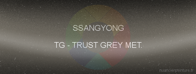 Peinture Ssangyong TG Trust Grey Met.