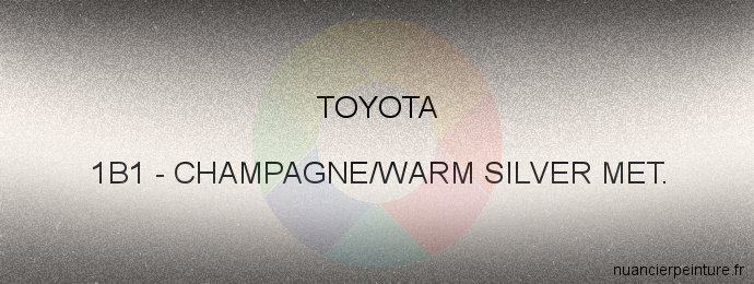 Peinture Toyota 1B1 Champagne/warm Silver Met.