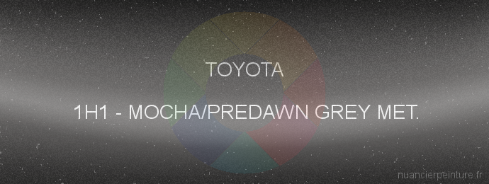 Peinture Toyota 1H1 Mocha/predawn Grey Met.
