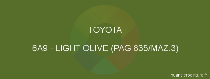 Peinture Toyota 6A9 Light Olive (pag.835/maz.3)