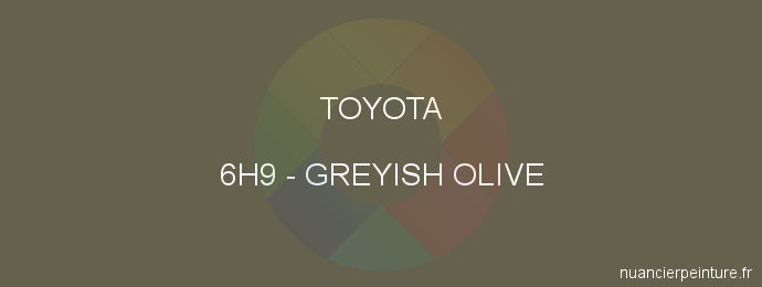 Peinture Toyota 6H9 Greyish Olive