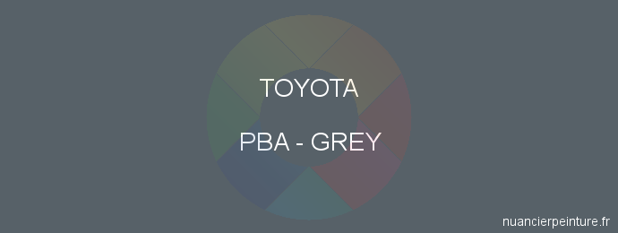Peinture Toyota PBA Grey