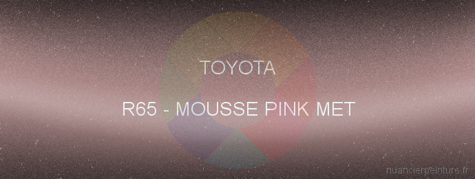 Peinture Toyota R65 Mousse Pink Met