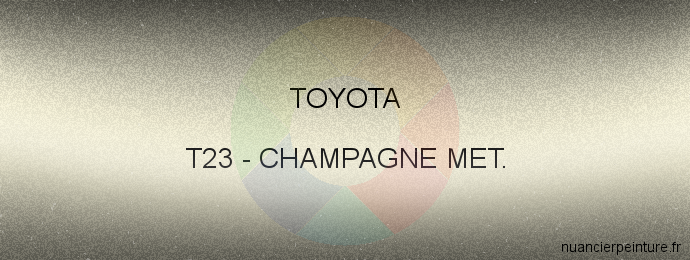 Peinture Toyota T23 Champagne Met.