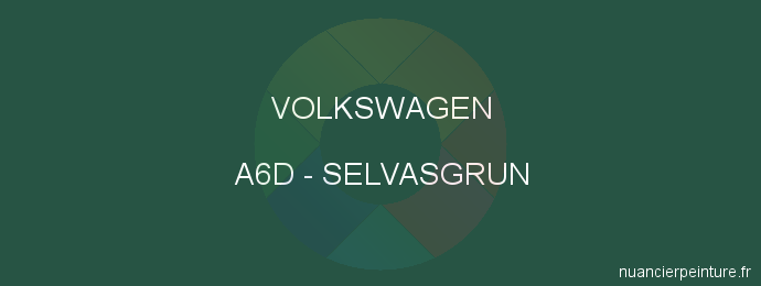 Peinture Volkswagen A6D Selvasgrun
