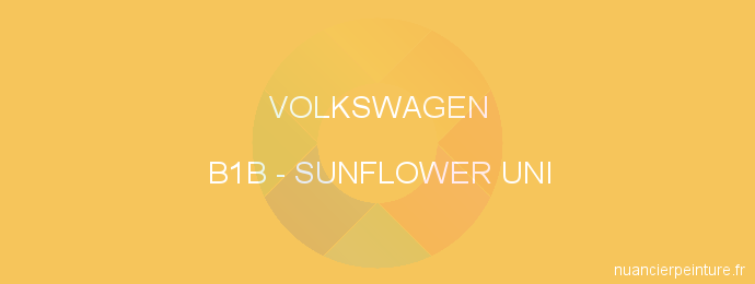 Peinture Volkswagen B1B Sunflower Uni