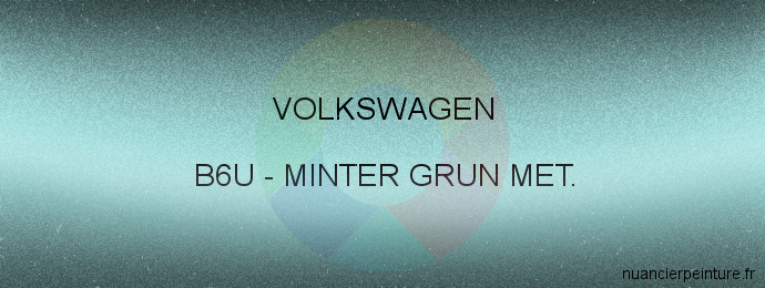 Peinture Volkswagen B6U Minter Grun Met.
