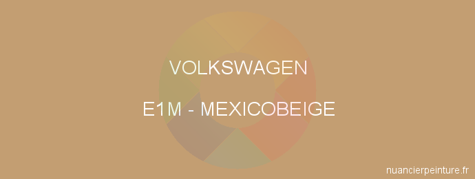 Peinture Volkswagen E1M Mexicobeige