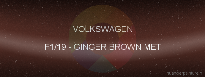 Peinture Volkswagen F1/19 Ginger Brown Met.