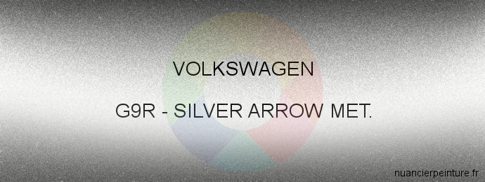 Peinture Volkswagen G9R Silver Arrow Met.