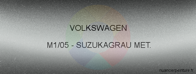 Peinture Volkswagen M1/05 Suzukagrau Met.