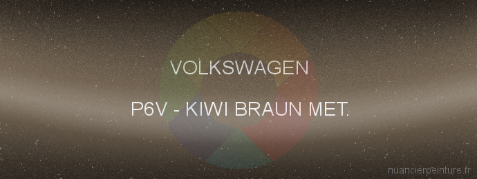 Peinture Volkswagen P6V Kiwi Braun Met.